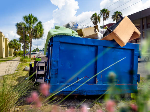 Best Professional Junk Removal  in Hillsdale, MI